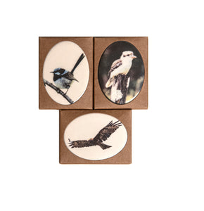 Fridge Magnet Birds - 3 Pack